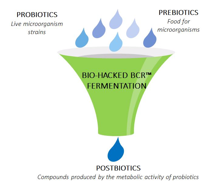 Bio-Hacked BCR™ Fermentation | Biome-Friendly Natural Skin Care